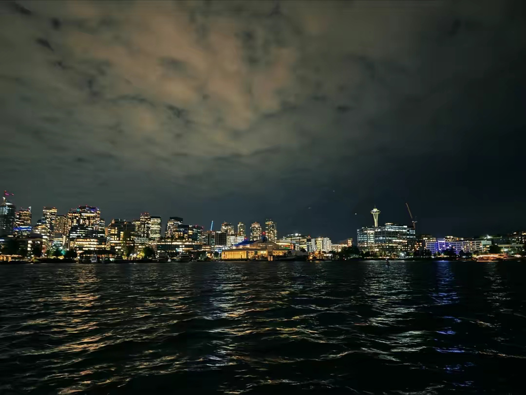 Seattle skyline at night from the water